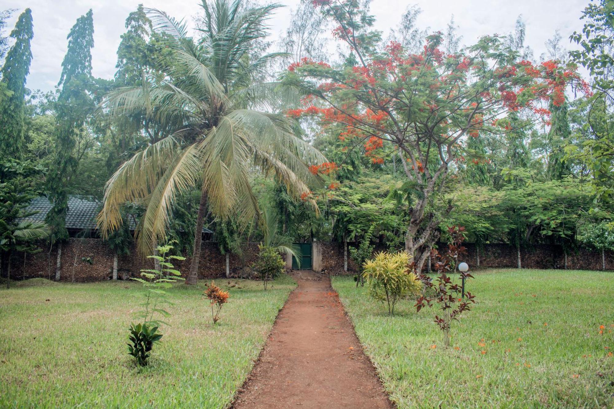 شاطئ دياني Kijani Cottages In Diani المظهر الخارجي الصورة