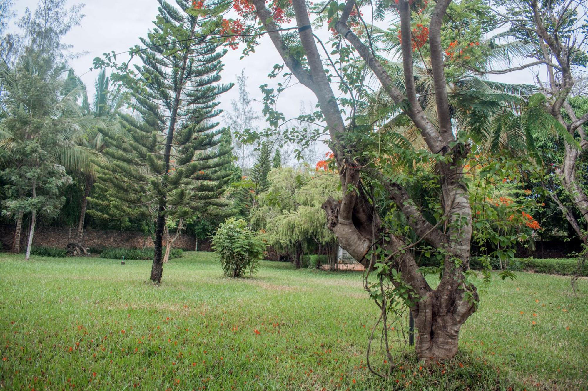 شاطئ دياني Kijani Cottages In Diani المظهر الخارجي الصورة