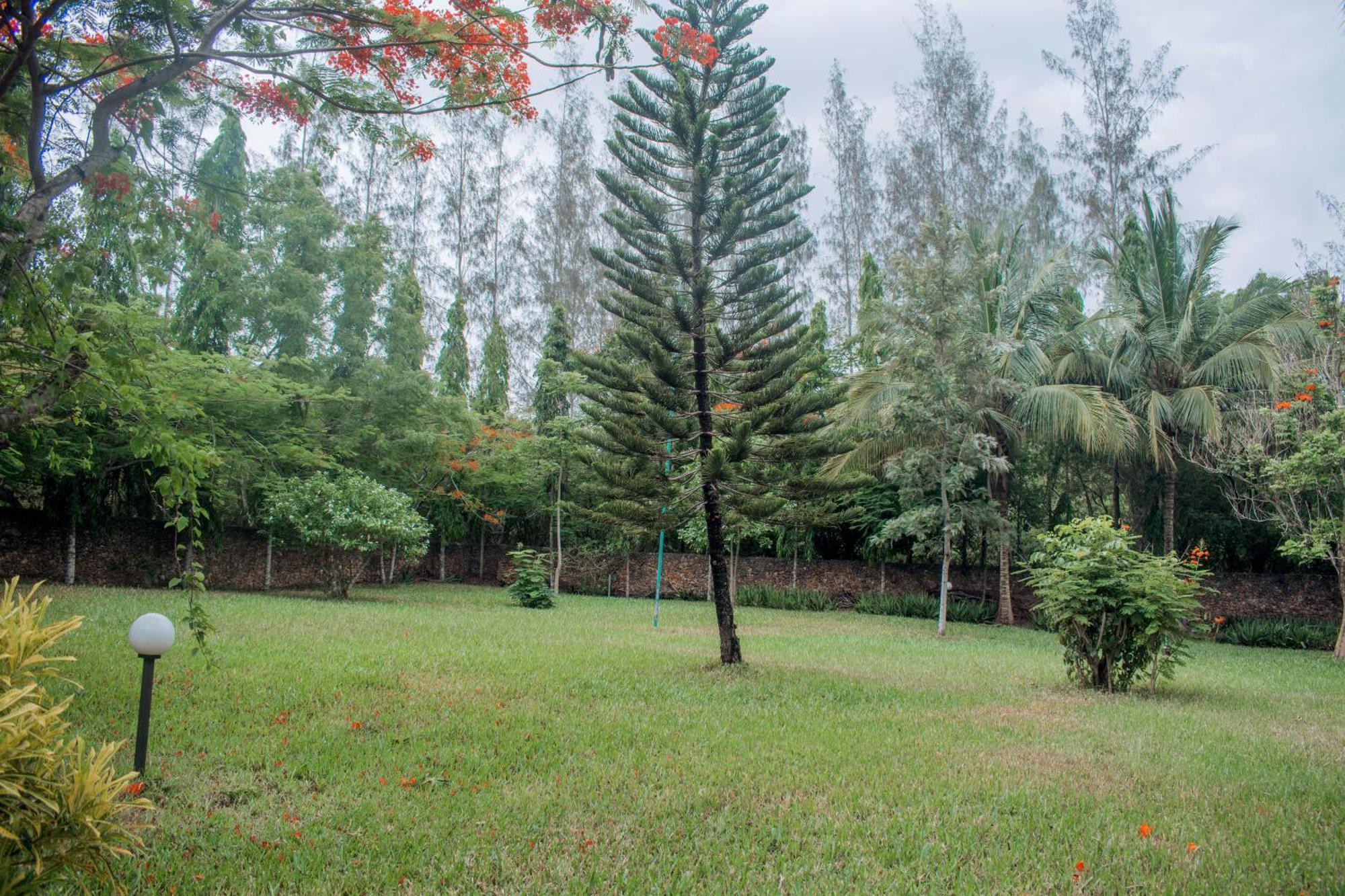 شاطئ دياني Kijani Cottages In Diani المظهر الخارجي الصورة